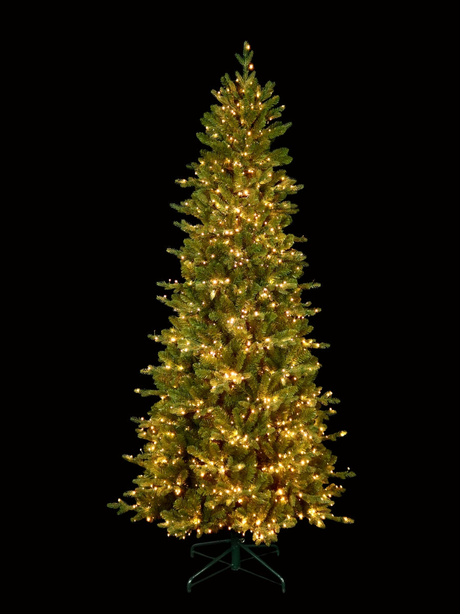 Alberta Slim Spruce 7.5'